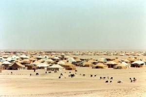 camps-tindouf